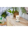 Zdjęcie produktu 2 z 2, Yankee Candle Coconut Beach Świeca zapachowa