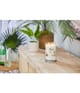 Produktbild 2 von 2, Yankee Candle Coconut Beach Duftkerze