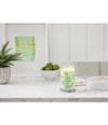Produktbild 2 von 2, Yankee Candle Cucumber Mint Cooler Duftkerze