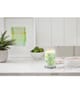Produktbild 2 von 2, Yankee Candle Cucumber Mint Cooler Duftkerze