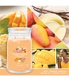 Image du produit 3 sur 3, Yankee Candle Mango Ice Cream Bougie parfumée