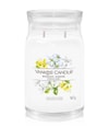 Produktbild 1 von 2, Yankee Candle Midnight Jasmine Duftkerze