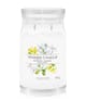 Produktbild 1 von 2, Yankee Candle Midnight Jasmine Duftkerze