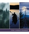 Produktbild 3 von 3, Yankee Candle Midsummers Night Duftkerze