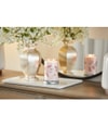 Produktbild 2 von 2, Yankee Candle Pink Cherry Vanilla Duftkerze