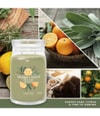 Produktbild 3 von 3, Yankee Candle Sage & Citrus Duftkerze