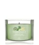 Produktbild 1 von 2, Yankee Candle Vanilla Lime Duftkerze