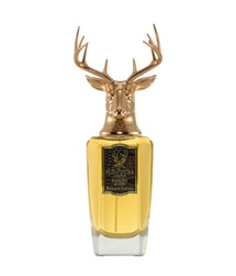 Pana Dora Majestic Amber Perfumy