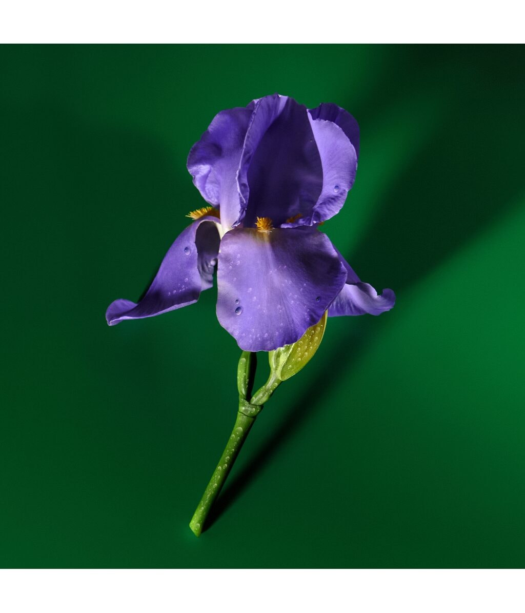 Immagine prodotto 4 di 6, Gucci Guilty Eau de Parfum