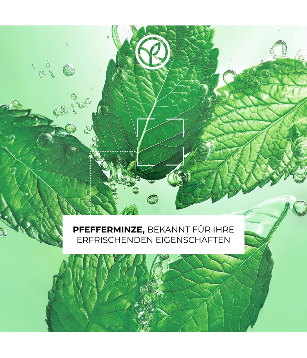 Пилинг для лица Yves Rocher Pure Menthe, с мятой, для комбинированной и жирной кожи, 75 мл — фото 3