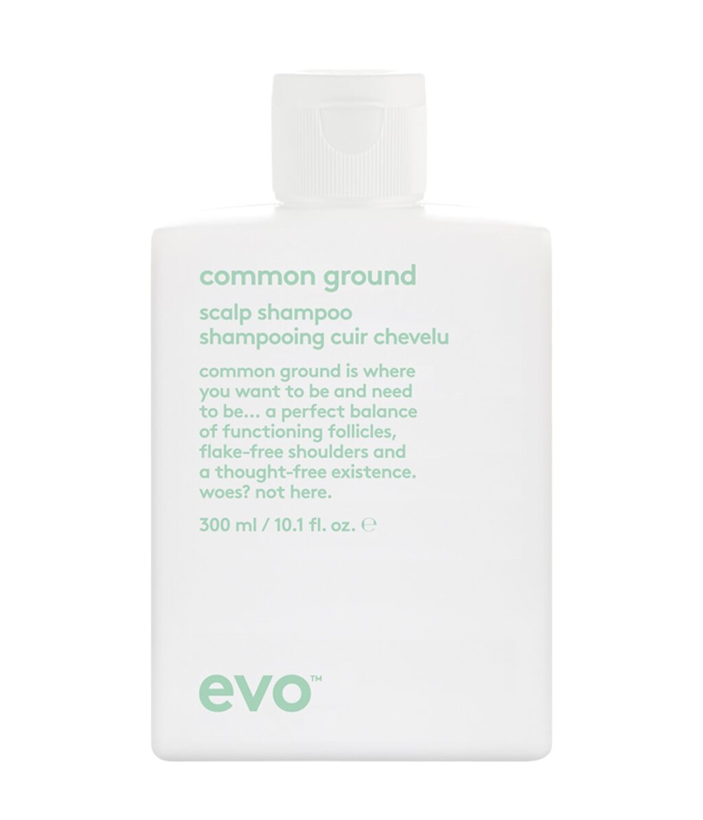 Шампунь Evo Common Ground Scalp балансирующий, без сульфатов, для кожи головы, 300 мл