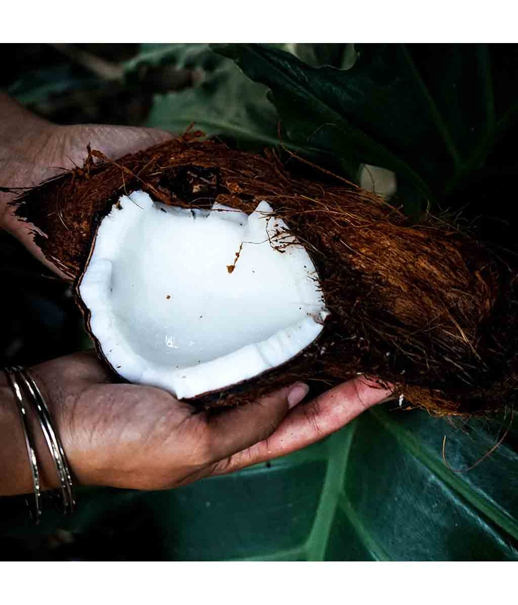 Produktbild 3 von 6, I WANT YOU NAKED Coco Glow Körperöl