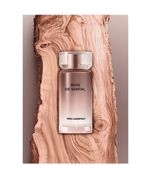 人気 ★ PARFUM DE LAUBE★ SAC PETIT PLIE Karl Lagerfeld Pour Femme Woda perfumowana 85ml spray