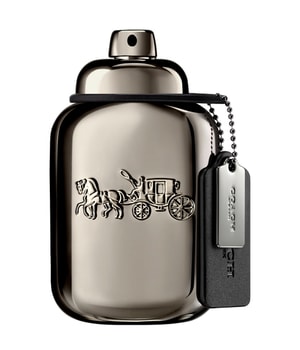 Produktbild 1 von 3, Coach Pure Platinum Parfum