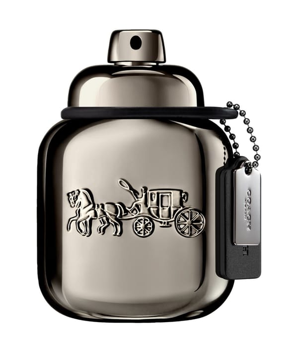 Produktbild 1 von 3, Coach Pure Platinum Parfum