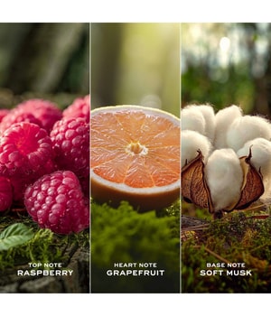 Produktbild 3 von 6, Marc Jacobs Daisy Eau So Fresh Eau de Toilette