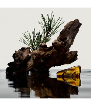 Immagine prodotto 5 di 6, Burberry Burberry Hero Eau de Parfum