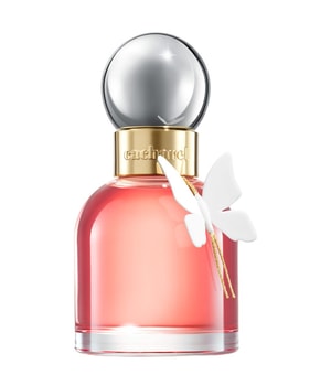 cacharel ella ella woda perfumowana 50 ml     