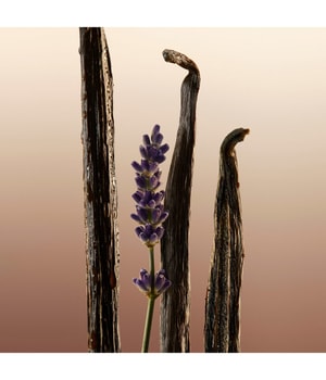 Produktbild 4 von 6, Burberry Goddess Eau de Parfum