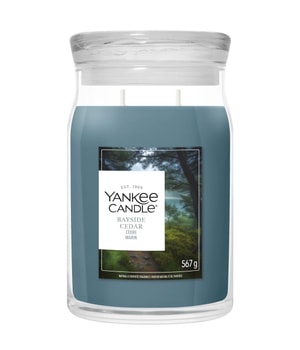 Zdjęcie produktu 1 z 3, Yankee Candle Bayside Cedar Świeca zapachowa