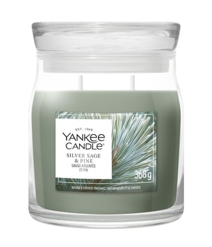 Image du produit 1 sur 2, Yankee Candle Siver Sage & Pine Bougie parfumée