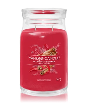 Yankee Candle Sparkling Cinnamon Signature Jar Duftkerze · 567 g