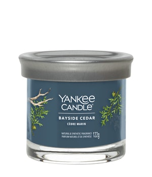 Yankee Candle Bayside Cedar Signature Tumbler Bougie parfumée 122 g