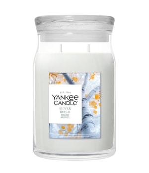 Yankee Candle Signature Grosses Glas Silver Birch Świeca zapachowa 567 g