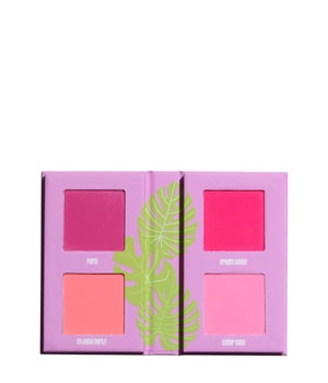 Made By Mitchell Mini Blursh Book Pressed Blusher Palette Makeuppalette