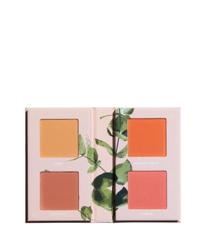 Made By Mitchell Mini Blursh Book Pressed Blusher Palette Makeuppalette