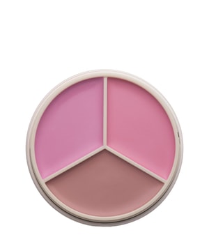 ANASTASIA Beverly Hills Magic Touch Blush Trio Róż 9 g Pink Trio