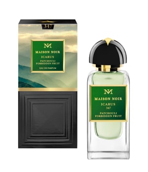 maison noir icarus 347