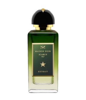 maison noir icarus 967