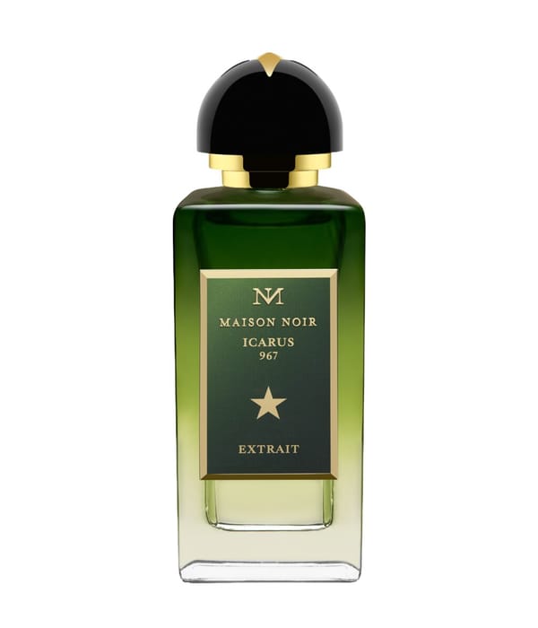 Produktbild 1 von 4, Maison Noir Icarus Parfum