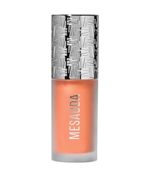 MESAUDA BEAUTY Flush Of Light Highlighter