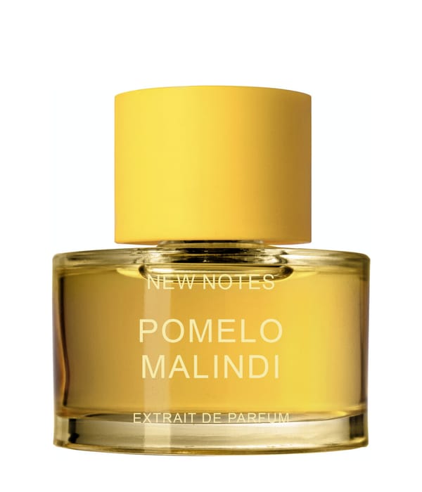 Produktbild 1 von 3, New Notes Modern Liquid Collection Parfum