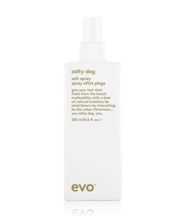 Produktbild 1 von 1, evo salty dog Texturizing Spray