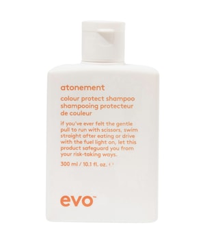 evo Colour Protect Atonement Colour Shampoo Shampoing