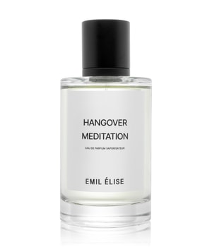 Hangover Meditation — Emil Élise