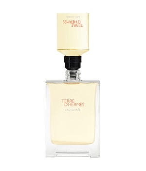 HERMÈS Terre d'Hermès Eau Givrée Eau de parfum dispo en ligne
