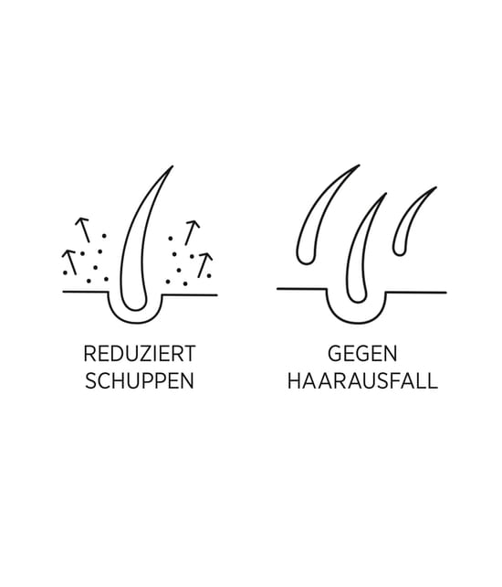 Productafbeelding 4 van 4, System Professional LipidCode Man Haartoner
