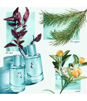 Tiffany & Co. & Love for Her Eau de Parfum online kaufen