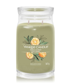 Yankee Candle Sage & Citrus Duftkerze · 567 g